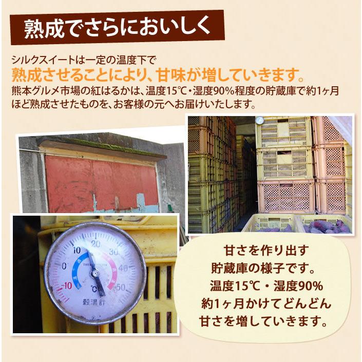 さつまいも 訳あり 10kg 箱込 シルクスイート 内容量9kg 補償分500g 送料無料 生芋 さつまいも  熊本県産 べにはるか サツマイモ  焼き芋に 芋 いも