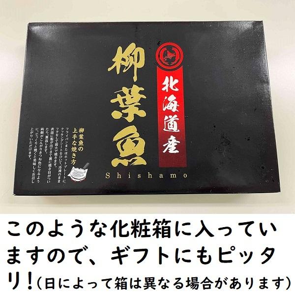 北海道産ししゃもメス30尾　シシャモ　ギフト　柳葉魚