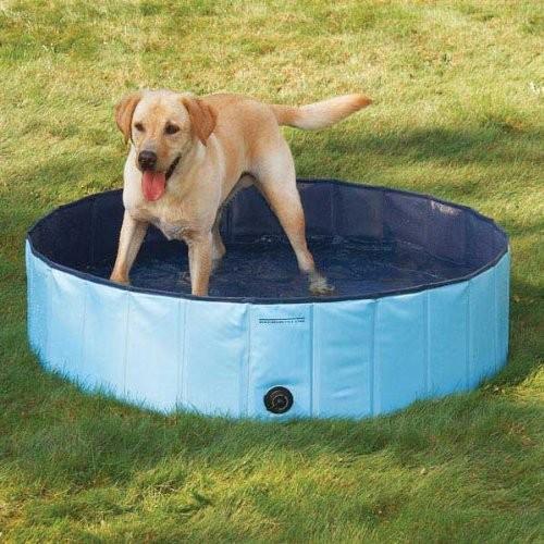 Cool Pup Splash About Dog Pool Medium, Blue by Guardian