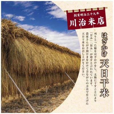 ふるさと納税 十日町市 魚沼産コシヒカリ 天日干米「魚沼三昧(R)」10kg×1袋 新潟県 十日町市