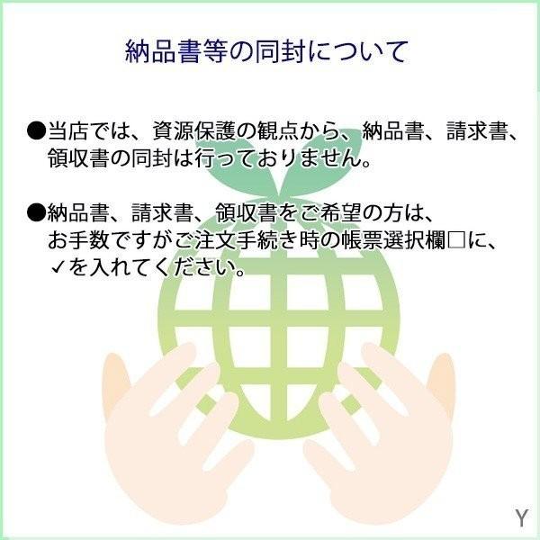 北海大和スープ 北海道スープ5種類 各2袋 (計10杯分) インスタントスープ 即席スープ お試し 飲み比べ 送料無料 ポイント消費