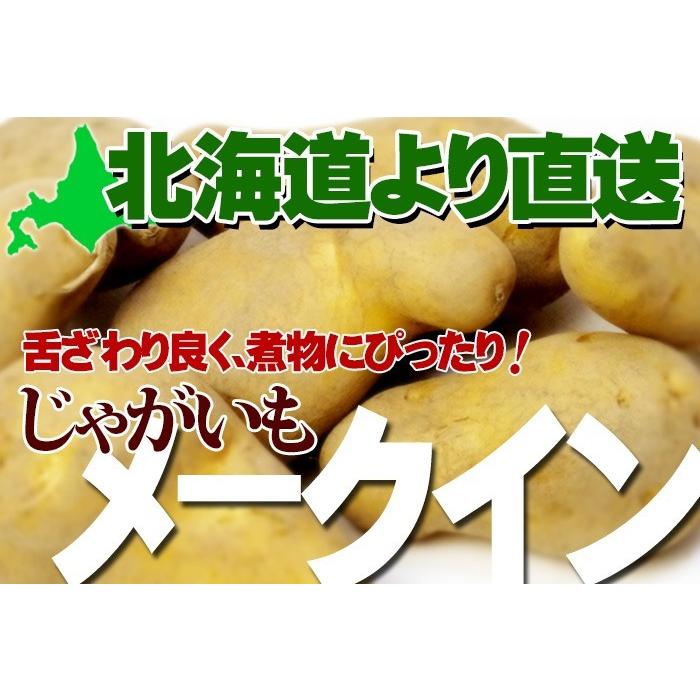 メークイン 10kg じゃがいも 北海道産 あげいも フライドポテト等 おいもを使ったおやつに 北海道 ジャガイモ お取り寄せ 産直 野菜 芋 秋の味覚