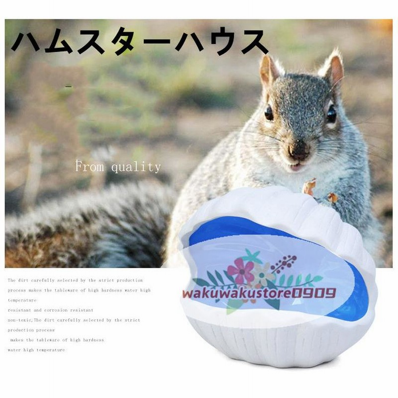 ハムスター ハウス 夏用 涼感 ひんやり 陶器 おへや ベッド 家 暑さ対策 トトロ リス 小動物 ハリネズミ おもちゃ かわいい 通販 Lineポイント最大0 5 Get Lineショッピング