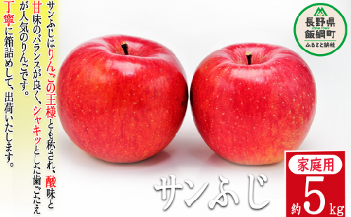 りんご サンふじ 家庭用 5kg 令和5年度収穫分 沖縄県への配送不可 2023年12月上旬頃から2024年1月中旬頃まで順次発送予定 宮本ファーム エコファーマー 減農薬栽培 長野県 飯綱町 [1491]