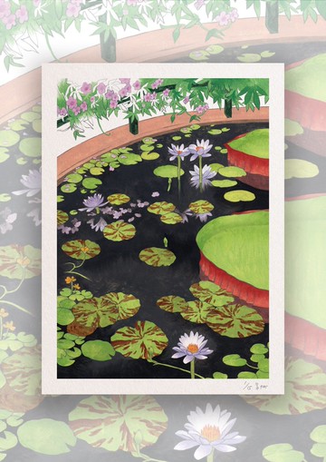 藝術微噴複製圖 | 【荷花池】