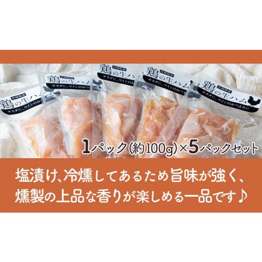 ふるさと納税 宮崎県 都城市 鶏の生ハム5パックセット_LG-H303_(都城市) 鶏の生ハム (100g)×5パック 塩漬け 燻製 スモーク 冷燻 サラダ