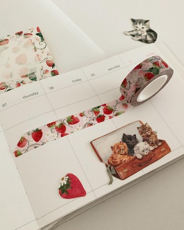 Strawberry Sherbet Pink Washi Tape