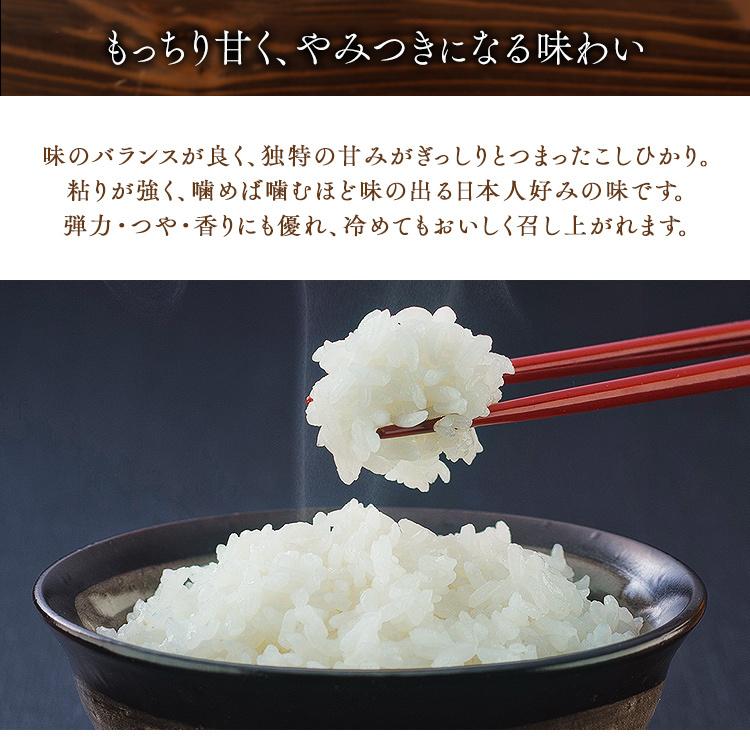 米 2kg 送料無料 新潟県産こしひかり 令和5年度産  生鮮米 低温製法米 お米 白米 一人暮らし アイリスオーヤマ