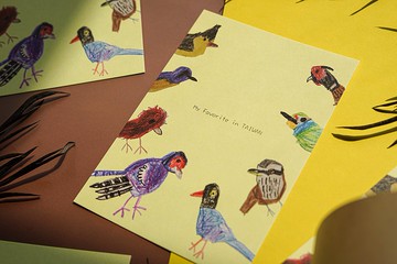 童趣插畫 台灣特有種鳥 明信片
