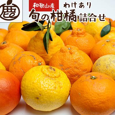 ふるさと納税 美浜町 家庭用旬の柑橘詰合せ5kg 150g(傷み補償分)