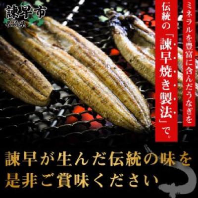 ふるさと納税 諫早市  うなぎ白焼き4尾