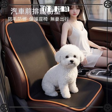 寵物車載墊子防水汽車後排防髒墊坐墊耐髒座椅保護套後備箱墊可開發票✔Car Supplies🚗臺灣出貨🚗