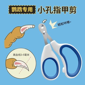 【萌寵用品】鸚鵡專用指甲剪鳥用爪子指甲剪磨甲器虎皮玄鳳牡丹小鳥用品貓爪剪