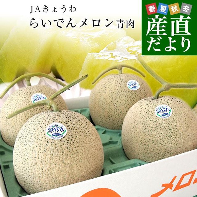 幻のメロン入荷しました！送料込み！千葉県産 ナイルメロン 6玉 | www ...