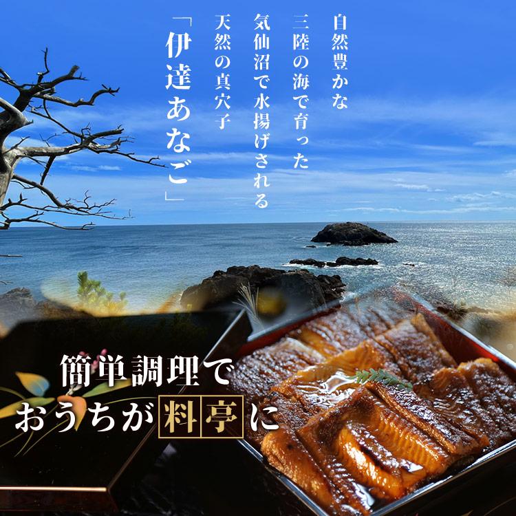 穴子 三陸産 冷凍 伊達アナゴ三昧セット あなご 伊達あなご 一夜干し 気仙沼 限定100セット 三陸未来 さんりくみらい 代引不可