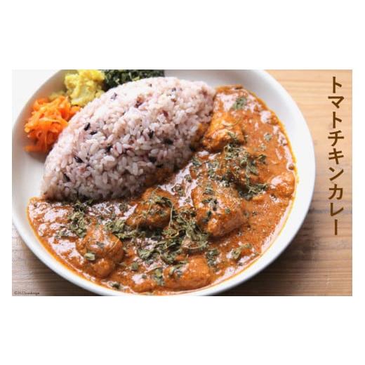 ふるさと納税 長崎県 雲仙市 冷凍スパイスカレー 4種 計6食セット キーマ グリーン チキン ポーク 詰め合わせ 食べ比べ ／ カレーライフ ／ 長崎県 雲仙市