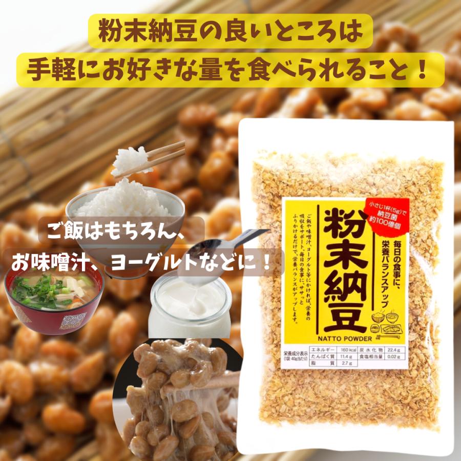 粉末納豆 40g×3袋 乾燥 ドライ 納豆菌 信州物産