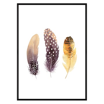 翎羽 藝術畫  50 x 70cm  黑色