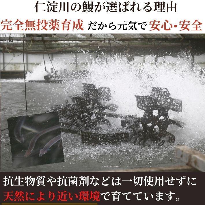 高知県産 仁淀川 うなぎ 特大蒲焼き 天然鮎 仁淀川堪能セット 国産 完全無投薬 ギフト 贈答