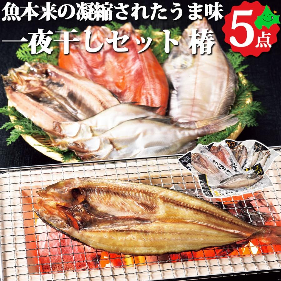 北海道 海鮮 一夜干しセット（椿） 干物 5種6枚 ほっけ 桜ます 宗八かれい にしん 詰め合わせ お取り寄せ 海産物 ギフト 冷凍