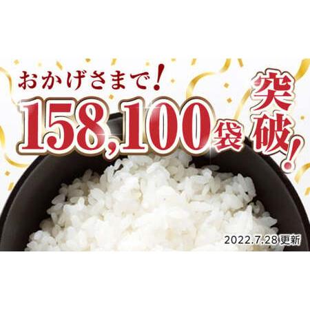 ふるさと納税  ヒノヒカリ 白米 10kgお米 コメ 熊本 特A 精米 ごはん 定期便 [ZBP048] 熊本県山鹿市