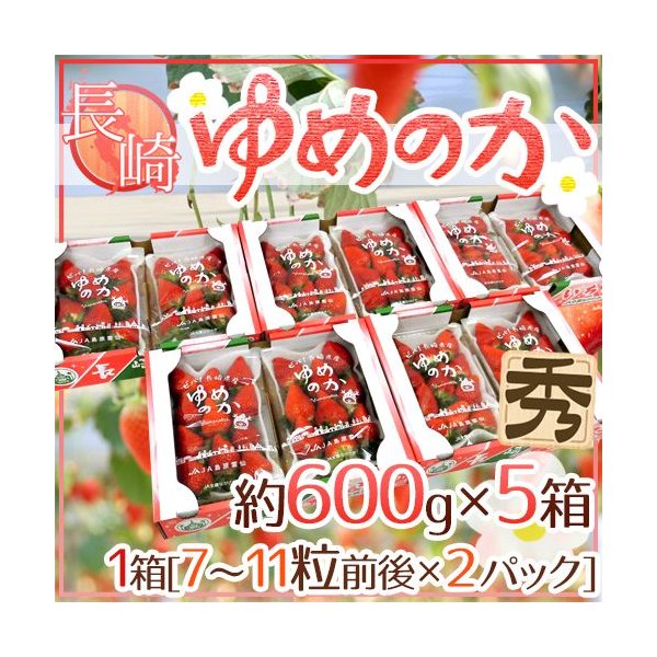 長崎産イチゴ ”ゆめのかいちご” 約600g×5箱（1箱あたり約300g×2pc） 送料無料