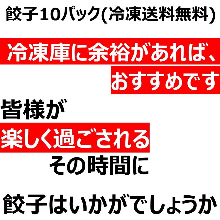 餃子 ギョーザ 10パック 取り寄せ 手づくり 冷凍 点心 中華