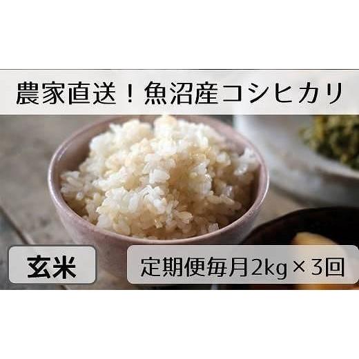 ふるさと納税 新潟県 十日町市 玄米2kg　新潟県魚沼産コシヒカリ「山清水米」