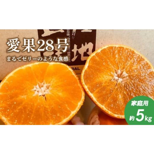 ふるさと納税 愛媛県 松山市  予約 販売  愛果28号 約 5kg 家庭用 みかん 柑橘 果物 フルーツ 松山市 愛媛県 ふるさとチョイス ふる…