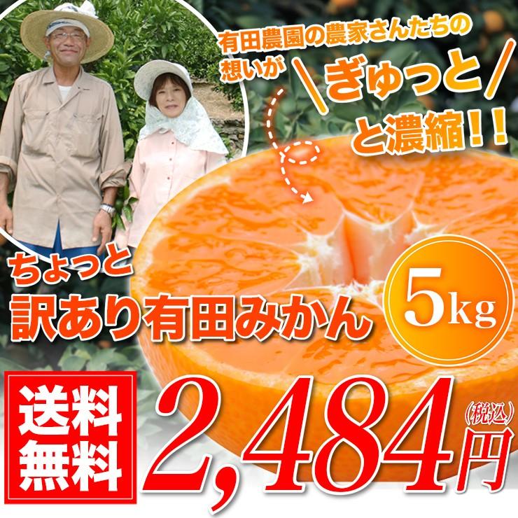 訳あり みかん ちょっと 5kg 有田みかん 蜜柑 自宅用 訳アリ 送料無料 ミカン 箱買い 産地直送 安い 糖度 家庭用 5キロ 和歌山県産 訳アリ