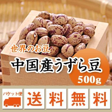 豆 うずら豆 中国産 500g メール便送料無料※日時指定不可・代引不可・同梱不可商品