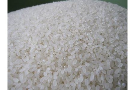 [1.2-47]　玄米ななつぼし11kg