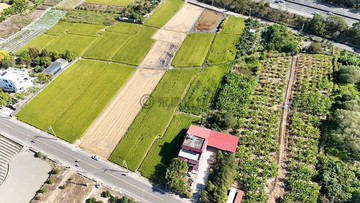 南投名間萬丹稻作農牧地｜平坦方正投資首選｜南投縣名間鄉萬丹段