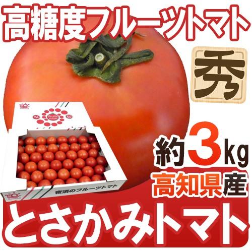 高知県夜須産 高糖度 夜須のフルーツトマト ”とさかみトマト” 秀品 約3kg 化粧箱 送料無料