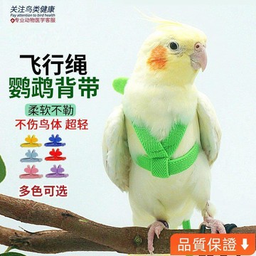 💥台灣出貨💥鸚鵡用品鳥用放飛繩鸚鵡用品玄風虎皮小金太陽牽引放飛繩遛鳥神器 64IA