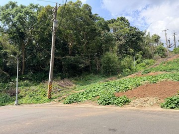 資產傳承優質標地陽明山珍稀土地★住商游佳諭｜台北市士林區新安段五小段