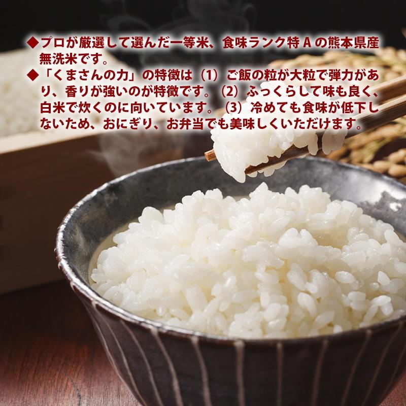 無洗米 プロが選ぶ厳選 一等米 米 食味ランク 特A くまさんの力 10kg 精米 熊本県産