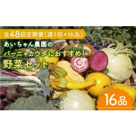 ふるさと納税 「バーニャカウダなどに♪」あいちゃん農園のお野菜の詰め合わせ [FAA036] 佐賀県吉野ヶ里町