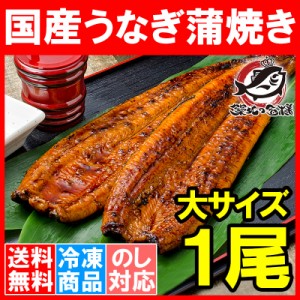 送料無料 国産うなぎ蒲焼き 大サイズ 平均165g前後×1尾 柔らかうなぎを丁寧に焼き上げた！まさに国産の最高級品質。【うなぎ ウナギ 鰻