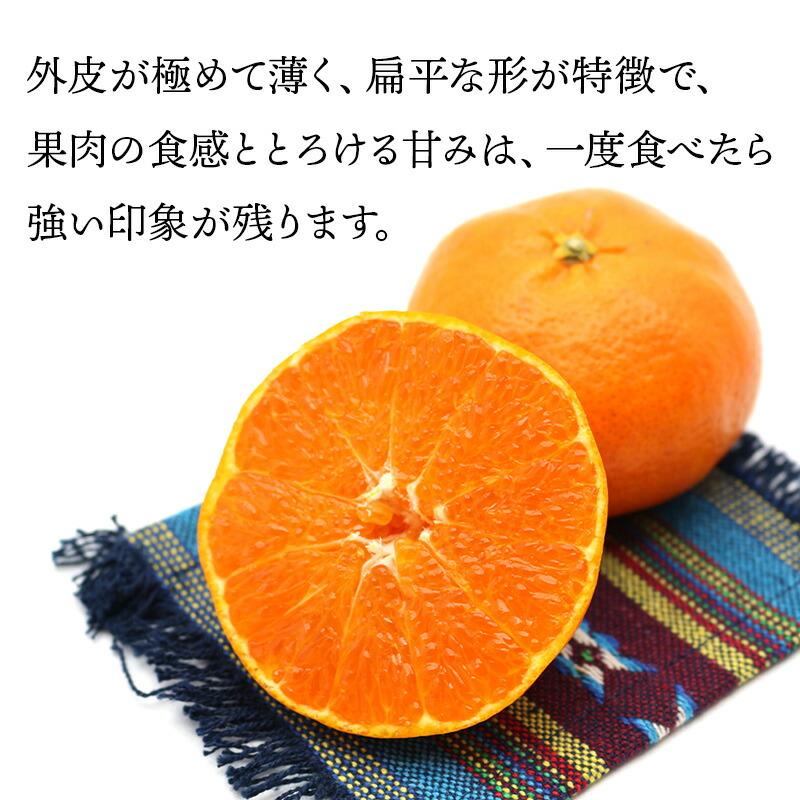  フルーツ 愛媛県産 甘平 約3kg （ M〜3Lサイズ 9〜15玉 ） 果物 柑橘 みかん ミカン ギフト 贈答品 高級 送料無料 NENP012