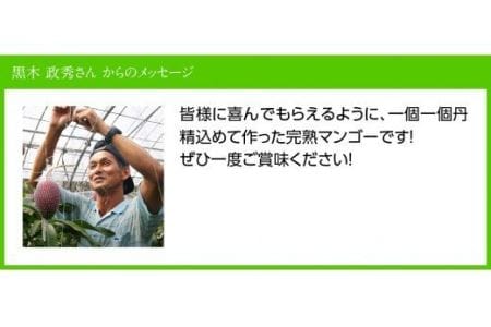 宮崎県産マンゴー「おひさまハニーマンゴー」２Ｌ（大）×２玉