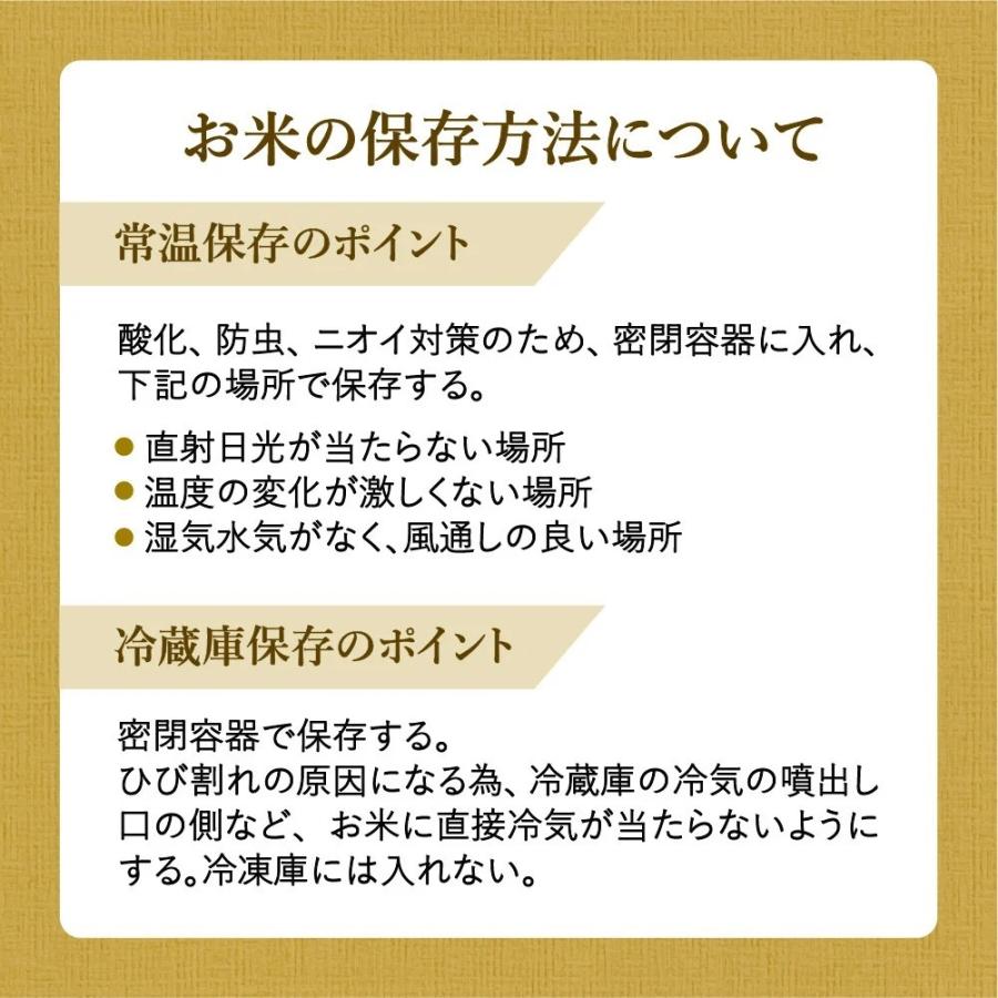 お米 さがびより 令和3年産 新米  精米 10kg 15kg 20kg 佐賀県産 産地直送 米 最高評価 特A 受賞 有明・潮風ファーム 国産