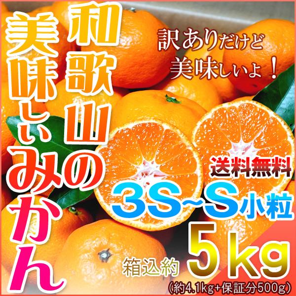 みかん 小玉（3S-Sサイズ） 5kg（箱込約5kg） 和歌山県産 訳あり・ご家庭用 送料無料（東北・北海道・沖縄県除く）