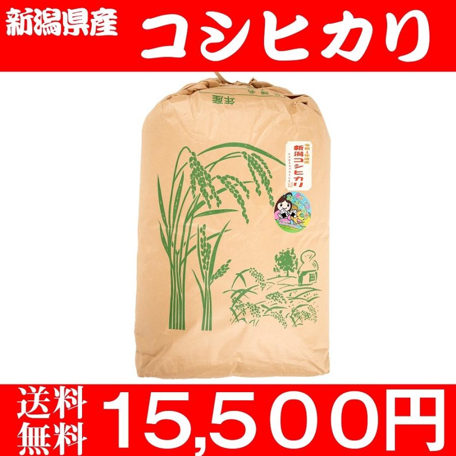 お米 30kg 白米 送料無料 新潟県糸魚川産 農家直送 コシヒカリ 新米 令和5年度産