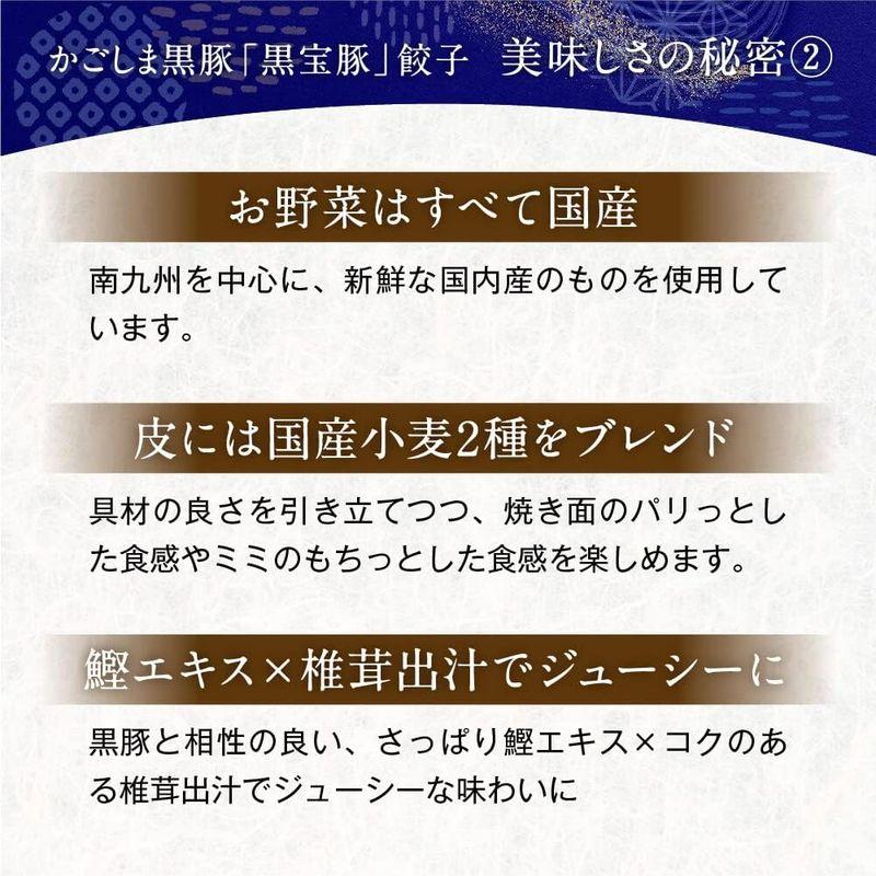 高級かごしま黒豚「黒宝豚」餃子48個お取り寄せ グルメ 冷凍 鹿児島 蔵直クラブ ギフト 人気