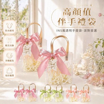 台灣出貨✨ 透明禮品袋 兒童節伴手禮盒 美容院包裝袋 手提式空盒子 小包裝袋 拉菲草裝飾