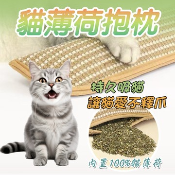 貓抱枕 貓薄荷 貓薄荷抱枕 貓咪枕頭 自嗨解悶 100％ 磨牙耐咬 潔牙貓咪玩具 帆布幾何三角 貓咪抱枕 玩耍 耐抓耐磨