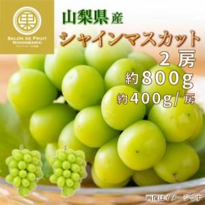 [最短順次発送]  シャインマスカット 2房 約800g 約400g x 2房 山梨県産  秋ギフト  果実ギフト