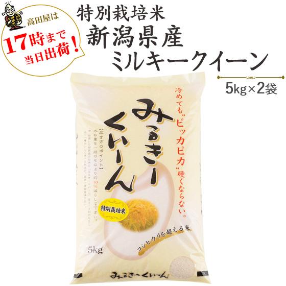 令和５年産　お米 10kg 特別栽培米 新潟産ミルキークイーン5kg×２袋　送料無料(一部地域を除く)