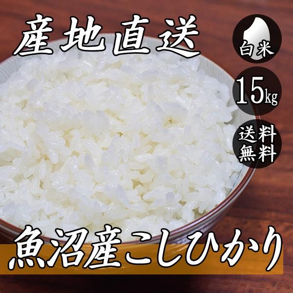 お米 15kg 魚沼産 コシヒカリ 5kg×3袋 送料無料 令和5年産 米 白米